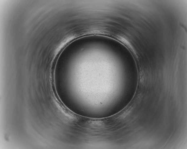X0000101171043200807071217