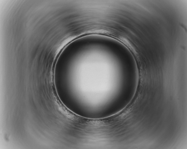 X0000101171044200807071217