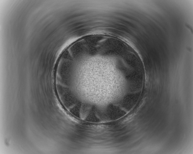 X0000101171045200807071217