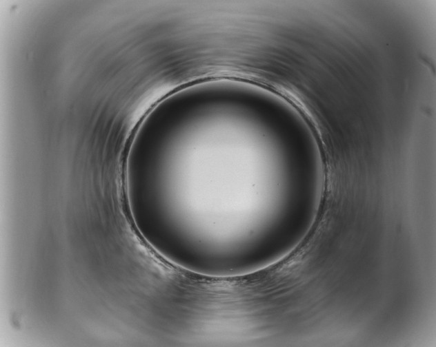 X0000101171048200807071217