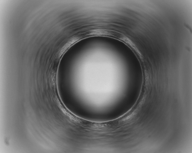 X0000101171049200807071217