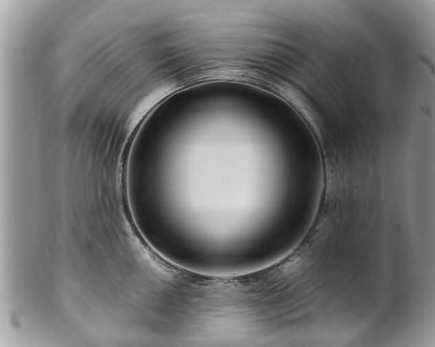 X0000101171050200807071217
