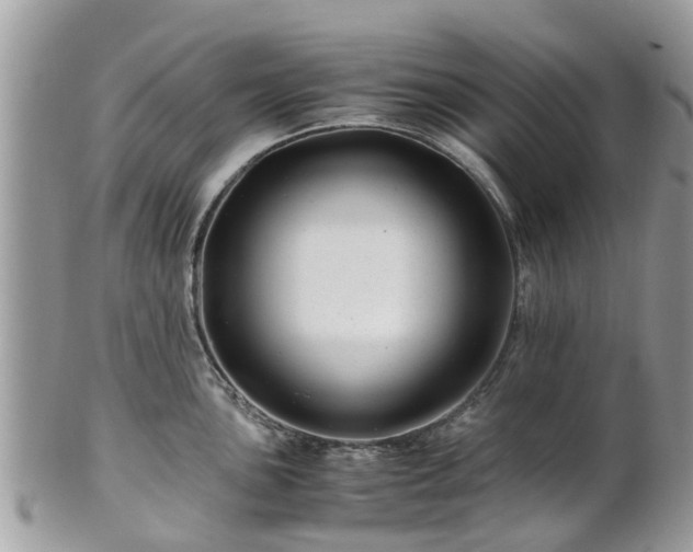X0000101171051200807071217