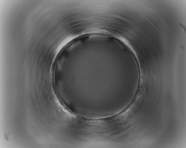 X0000101171053200807071217