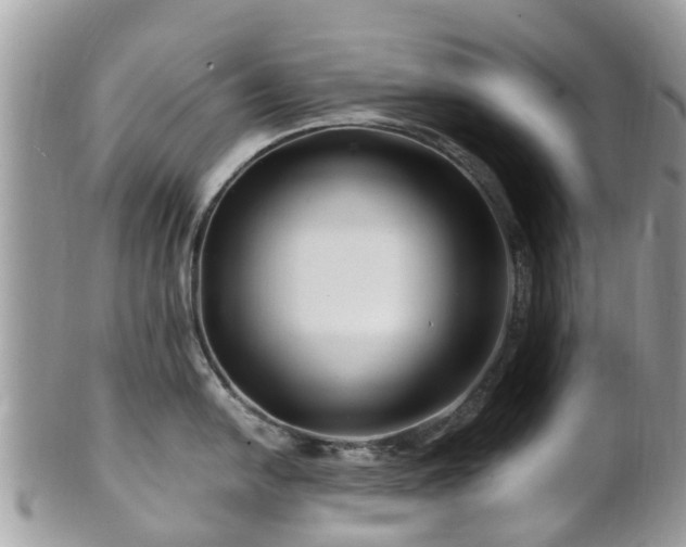 X0000101171054200807071217