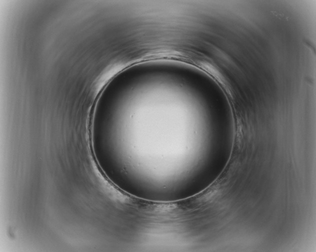 X0000101171055200807071217