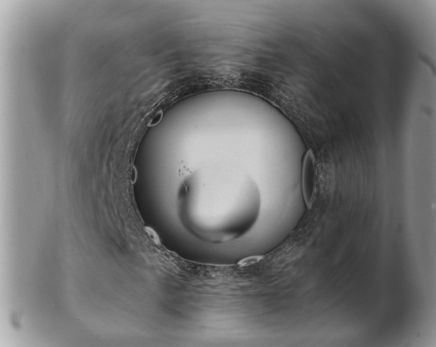 X0000101171057200807071216