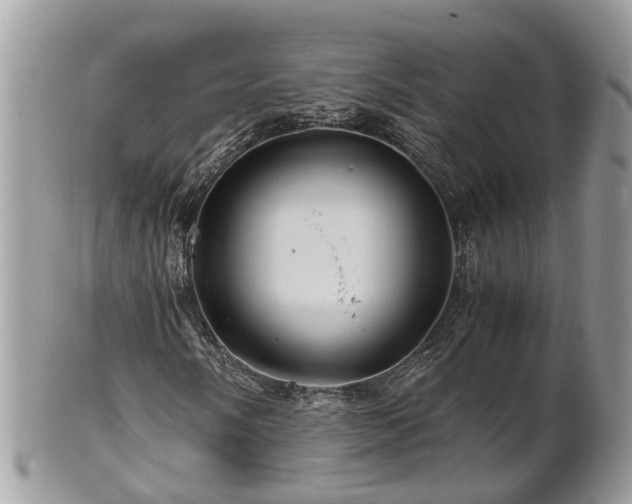 X0000101171058200807071216