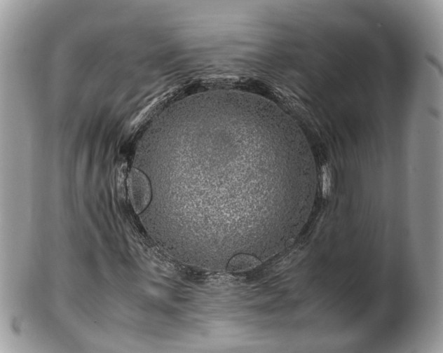 X0000101171059200807071216