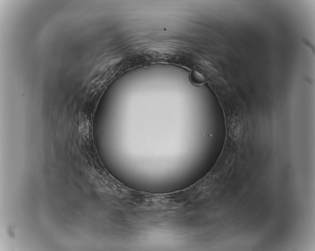 X0000101171061200807071216