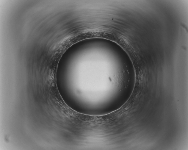 X0000101171062200807071216