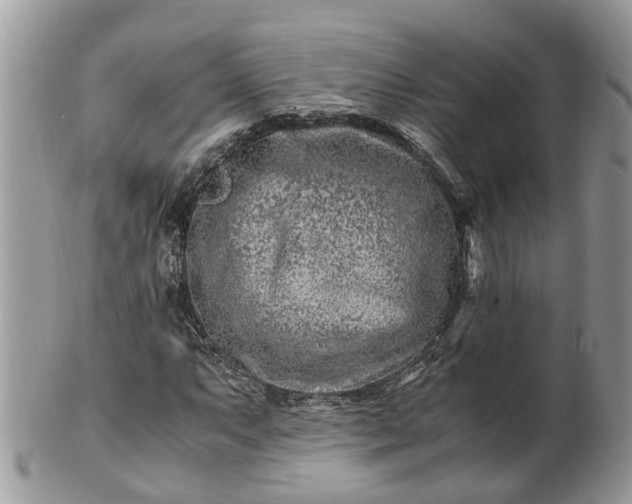 X0000101171063200807071216