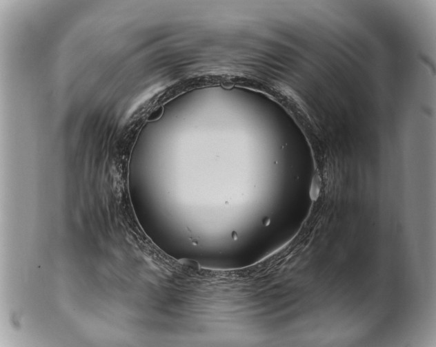 X0000101171064200807071216