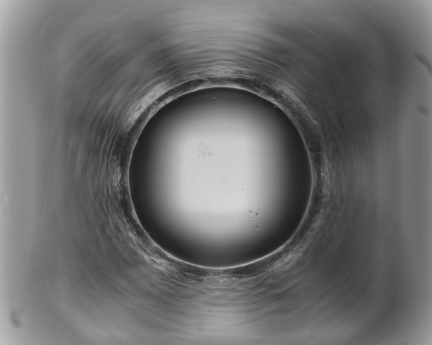 X0000101171065200807071216