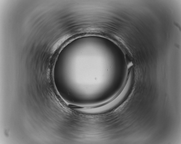 X0000101171066200807071216