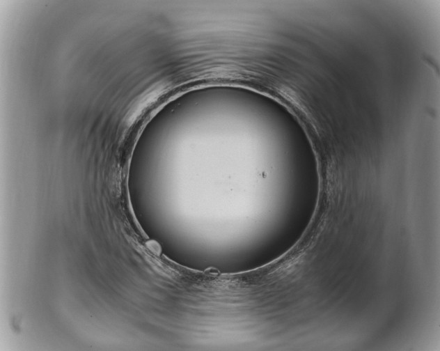 X0000101171067200807071216