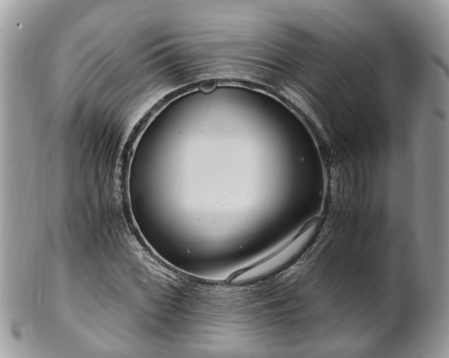 X0000101171068200807071216