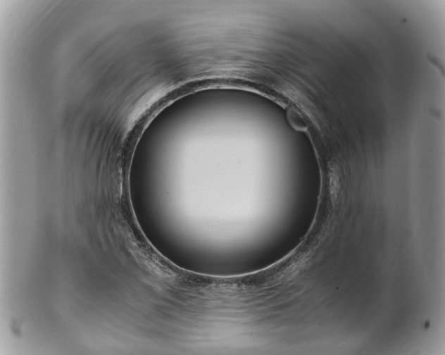 X0000101171069200807071216