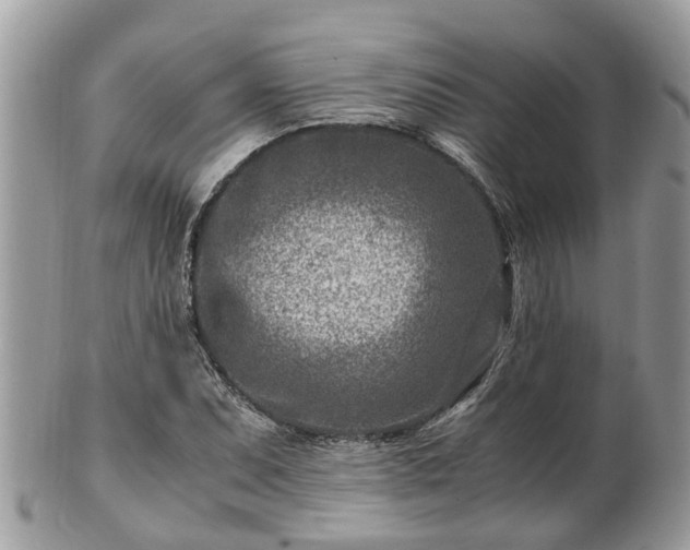 X0000101171071200807071216