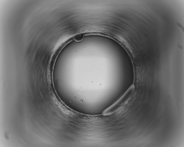 X0000101171072200807071216