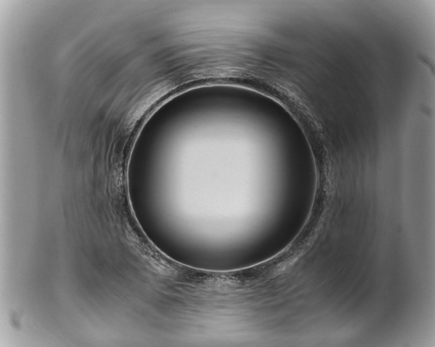 X0000101171073200807071216
