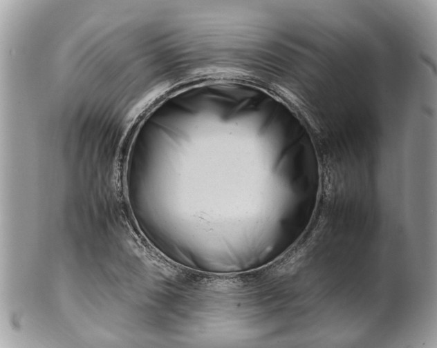 X0000101171074200807071216