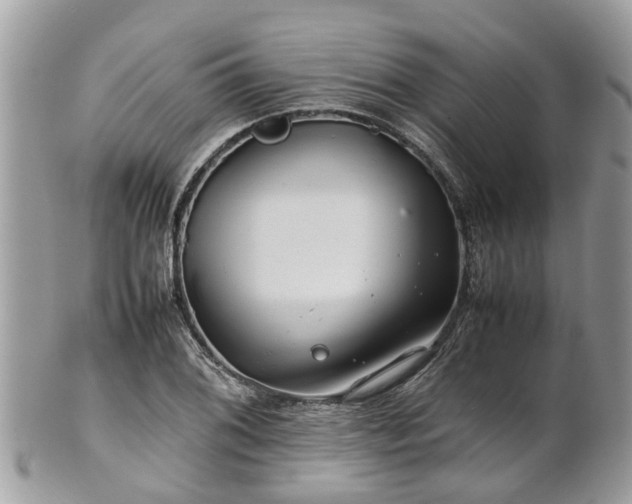 X0000101171076200807071216
