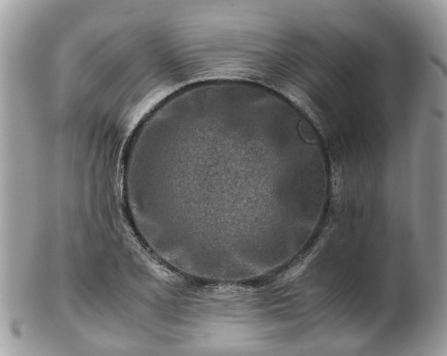 X0000101171077200807071216