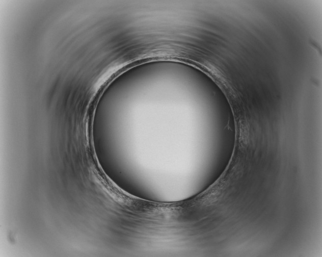 X0000101171078200807071216