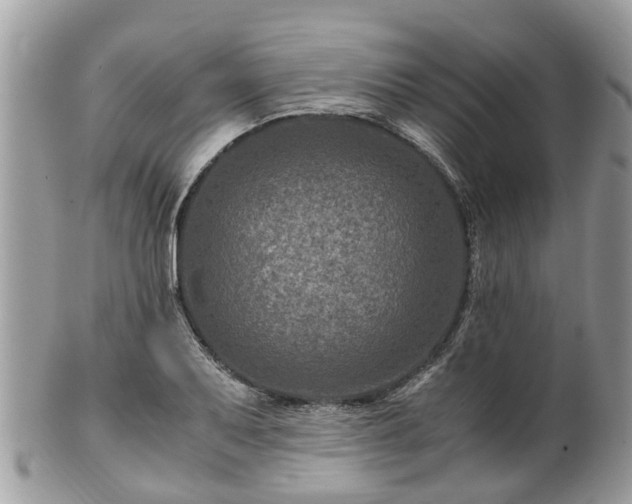 X0000101171079200807071216