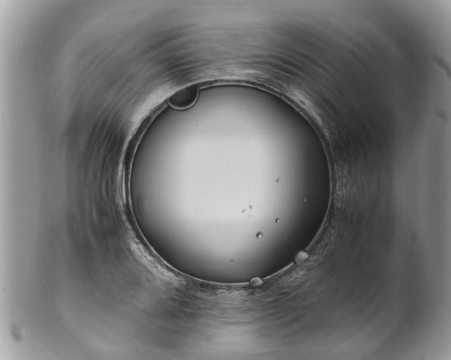 X0000101171080200807071216