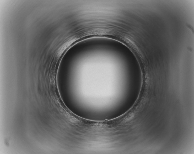 X0000101171081200807071216