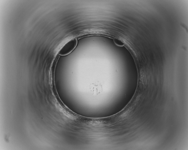 X0000101171082200807071216