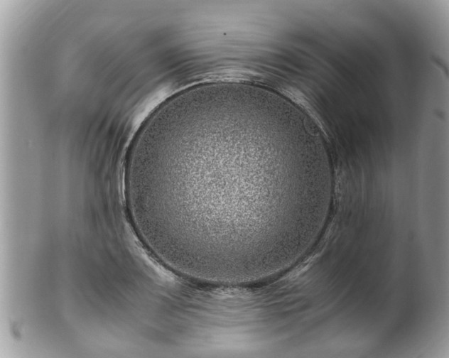 X0000101171083200807071216