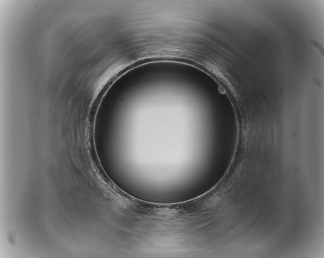 X0000101171085200807071216