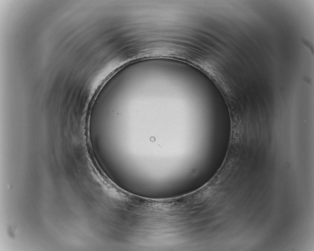 X0000101171086200807071216