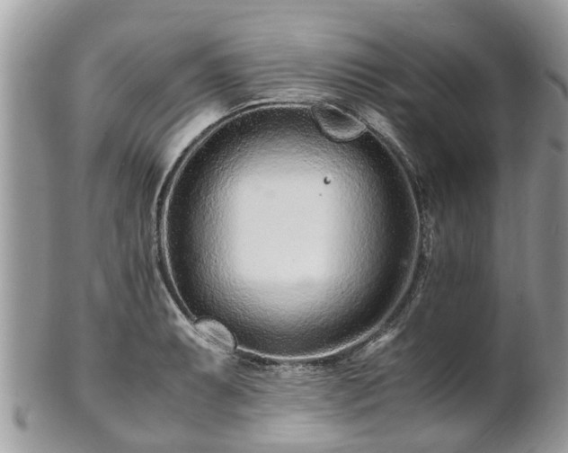 X0000101171087200807071216
