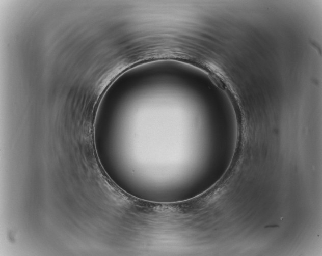X0000101171089200807071216
