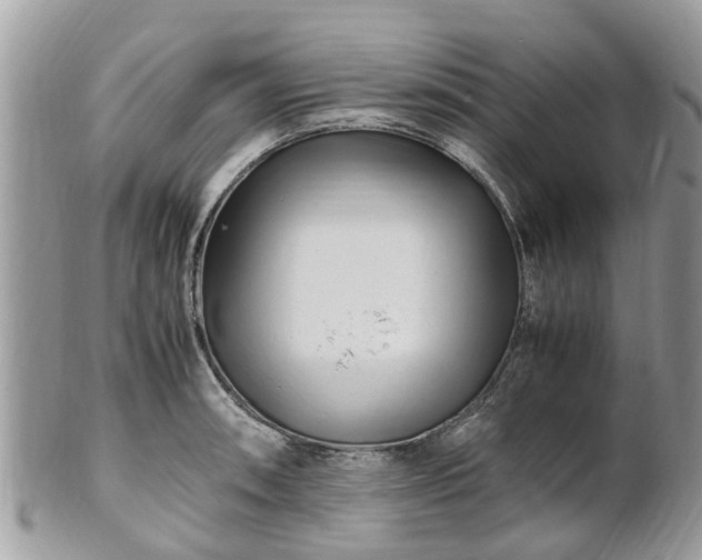 X0000101171090200807071216