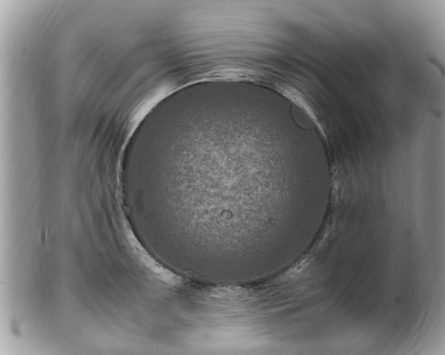 X0000101171091200807071216