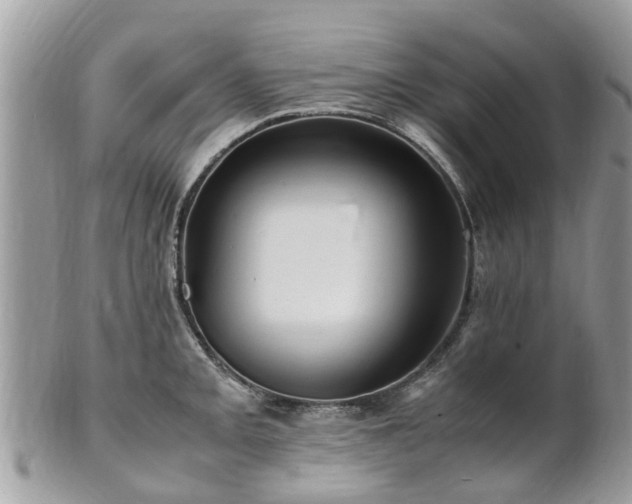 X0000101171093200807071216