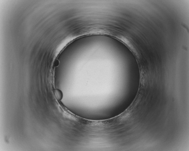 X0000101171094200807071216