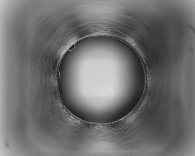 X0000101171097200807071216