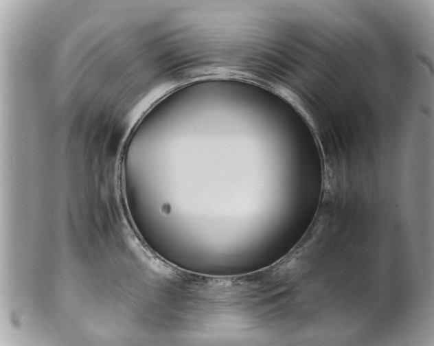 X0000101171098200807071216