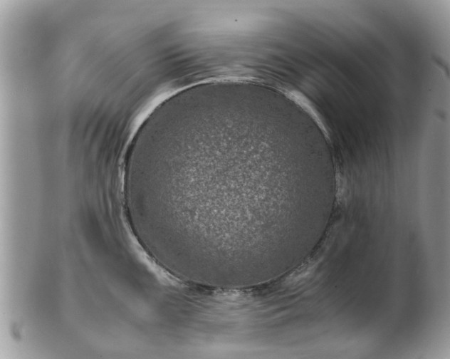 X0000101171099200807071216