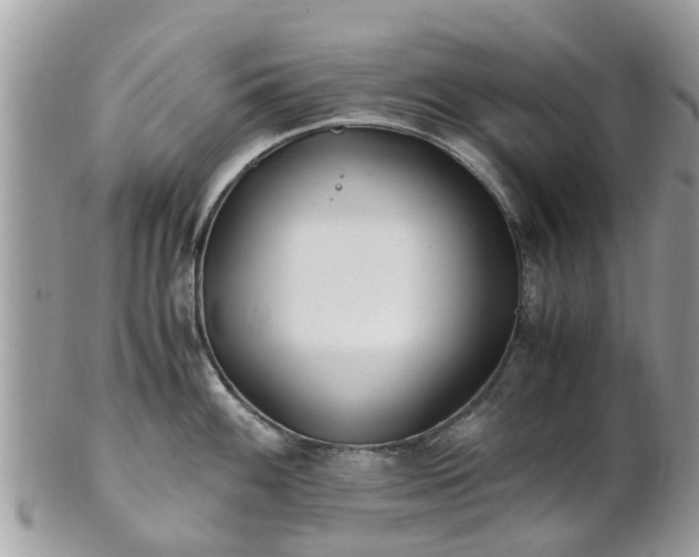 X0000101171100200807071216
