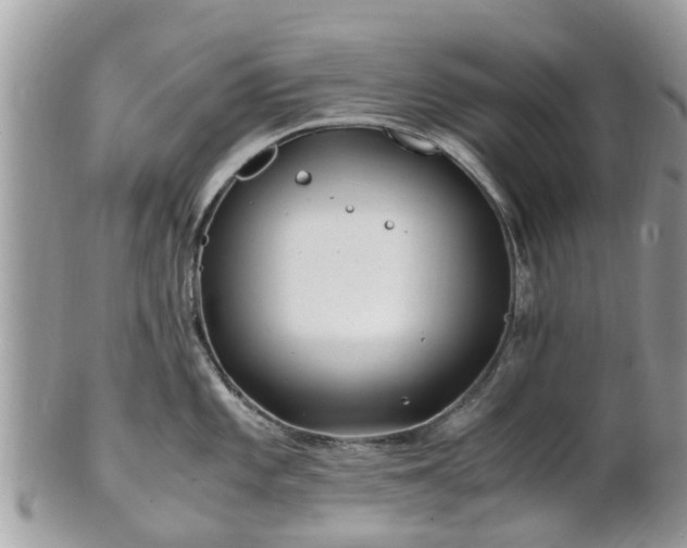 X0000101171101200807071216
