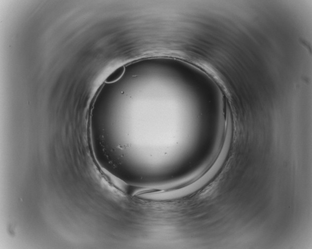 X0000101171102200807071216