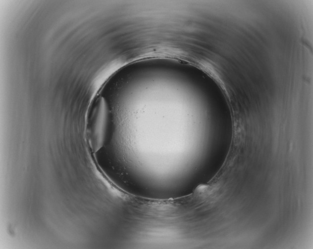 X0000101171103200807071216