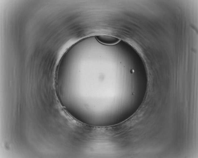 X0000101171104200807071216